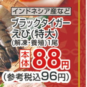 えび（ブラックタイガー）