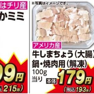 牛モツ