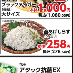 しらす
