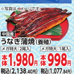 うなぎの蒲焼き