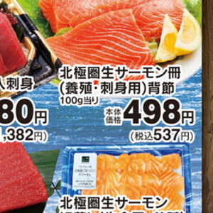 サーモン（さく取り）