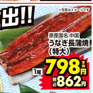 うなぎの蒲焼き