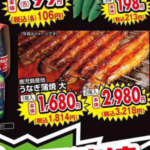 うなぎの蒲焼き