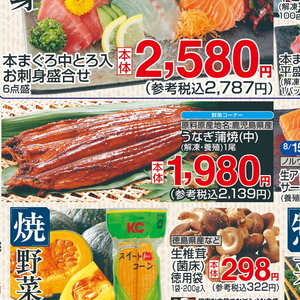 うなぎの蒲焼き
