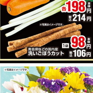ごぼう