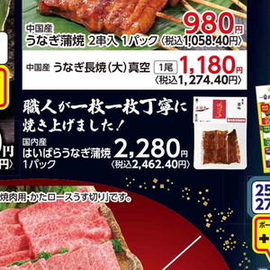 うなぎの蒲焼き