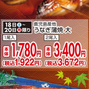 うなぎの蒲焼き