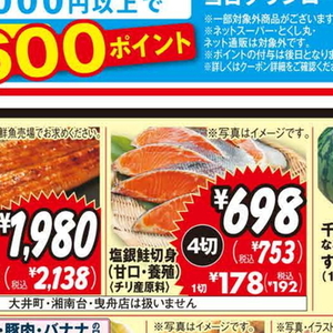 うなぎの蒲焼き