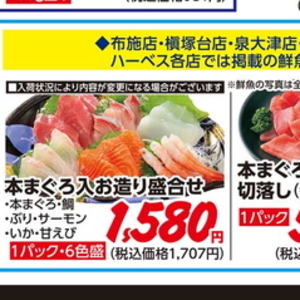 まぐろ中とろ