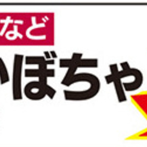 かぼちゃ