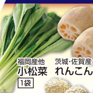 こまつ菜