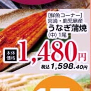 うなぎの蒲焼き