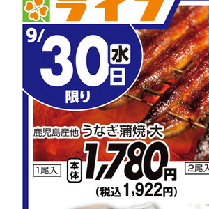 うなぎの蒲焼き