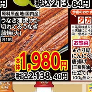 うなぎの蒲焼き