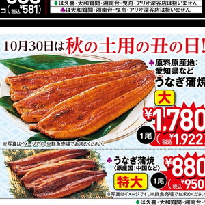 うなぎの蒲焼き