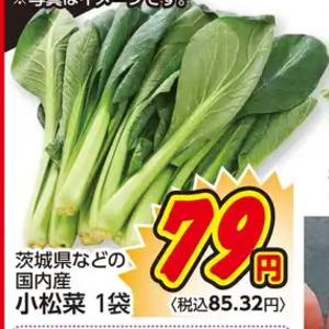 こまつ菜