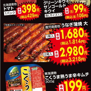 うなぎの蒲焼き