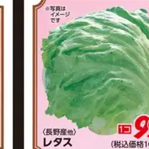 レタス