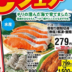 さけ（切り身）