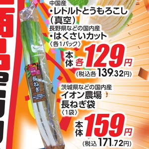 ながねぎ