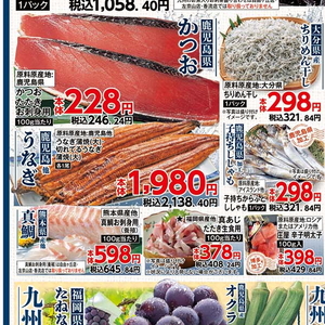 うなぎの蒲焼き