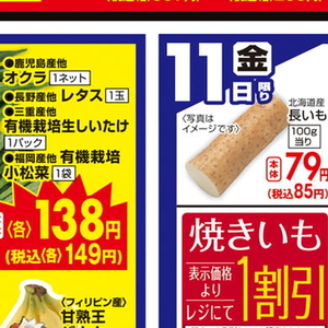 こまつ菜