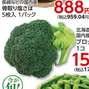 ブロッコリー