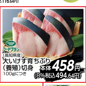ぶり（切り身）