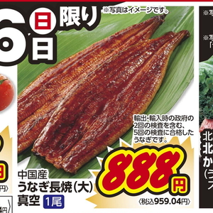 うなぎの蒲焼き
