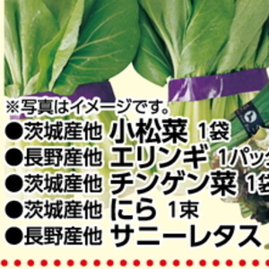 こまつ菜