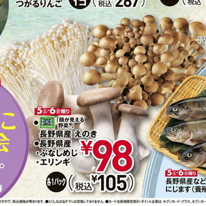 えのき茸