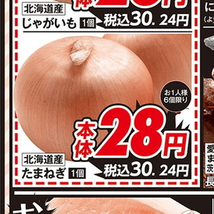 たまねぎ