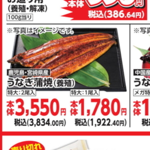 うなぎの蒲焼き