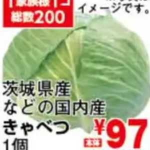 きゃべつ