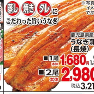 うなぎの蒲焼き