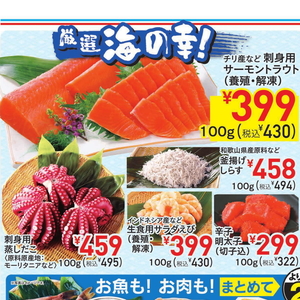サーモン（刺身）
