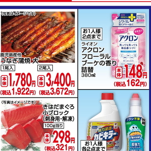 うなぎの蒲焼き