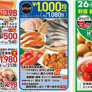 その他魚介切り身