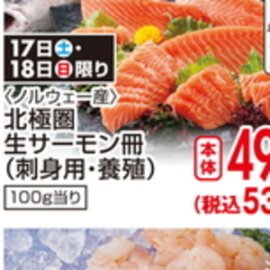 サーモン（さく取り）