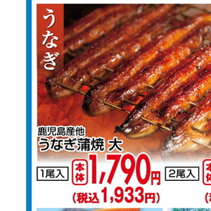 うなぎの蒲焼き