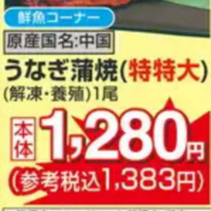 うなぎの蒲焼き