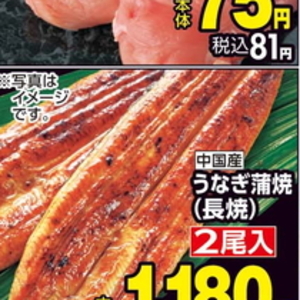 うなぎの蒲焼き