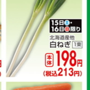 ながねぎ