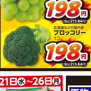 ブロッコリー
