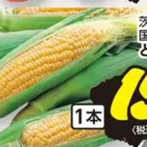 とうもろこし