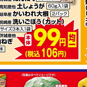 ながねぎ