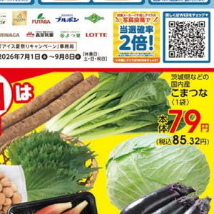 こまつ菜