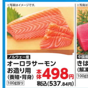 サーモン（刺身）