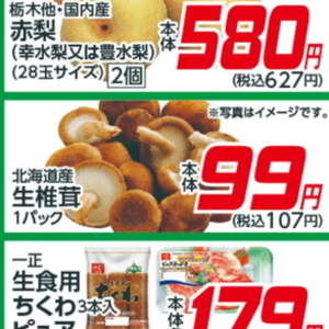 しいたけ