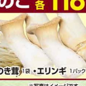 エリンギ
